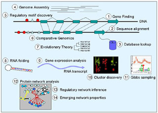 Image summarizing challenges in computational biology.